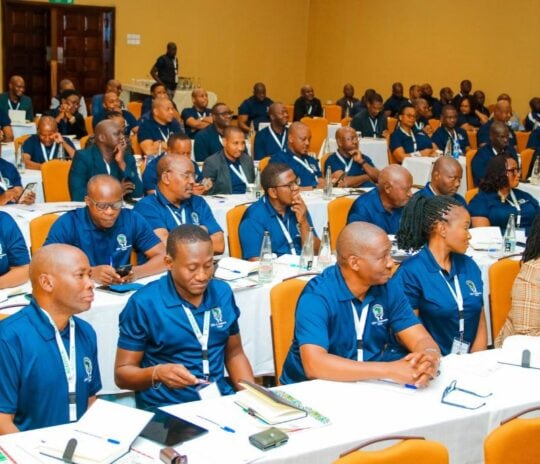CEOs and Chairpersons